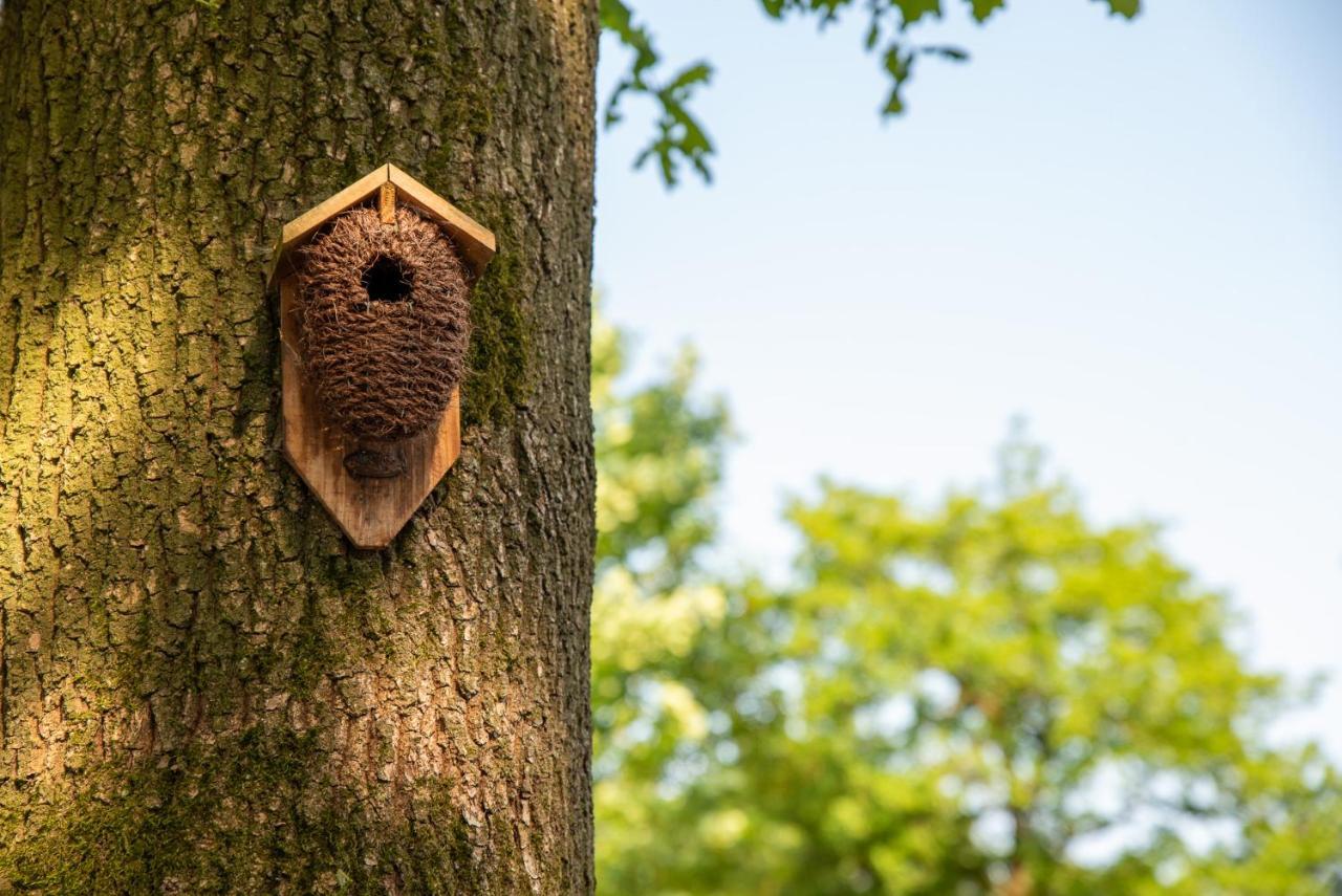 Nature Hideout At Veluwe Nature Park بوتِنْ المظهر الخارجي الصورة